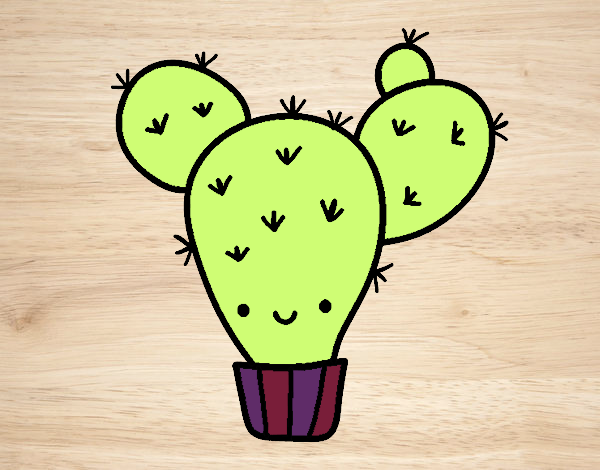 Cactus nopal