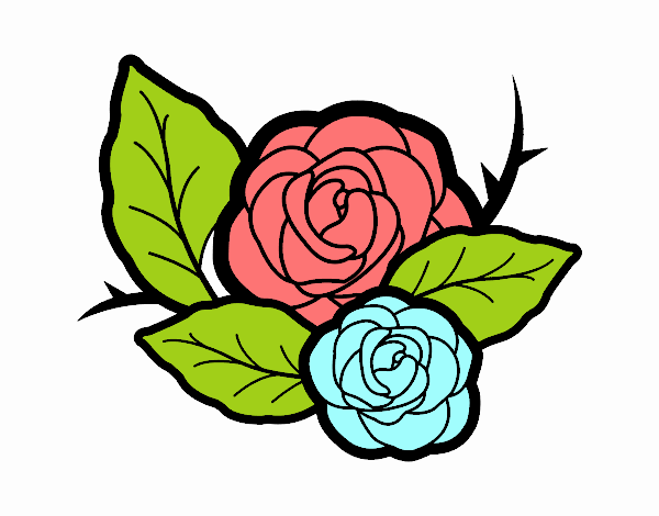 Dos rosas