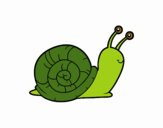 El caracol