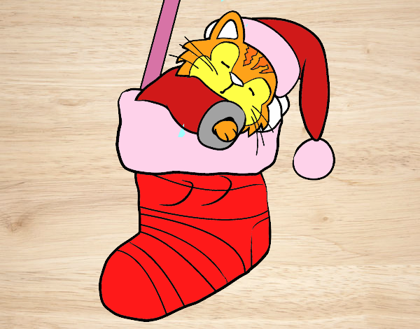 Gatito durmiendo en un calcetín de Navidad