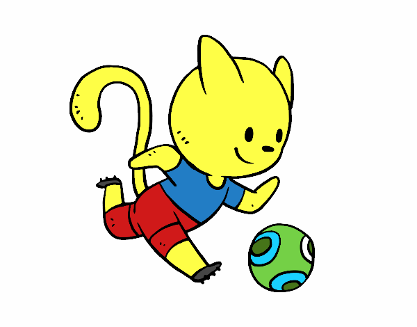 Gato jugando a fútbol