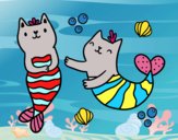 Gatos sirena