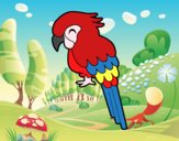 Guacamayo