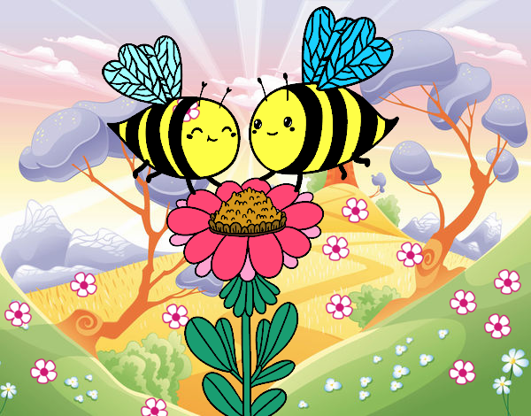 Pareja de abejas