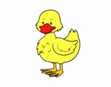 Patito de granja