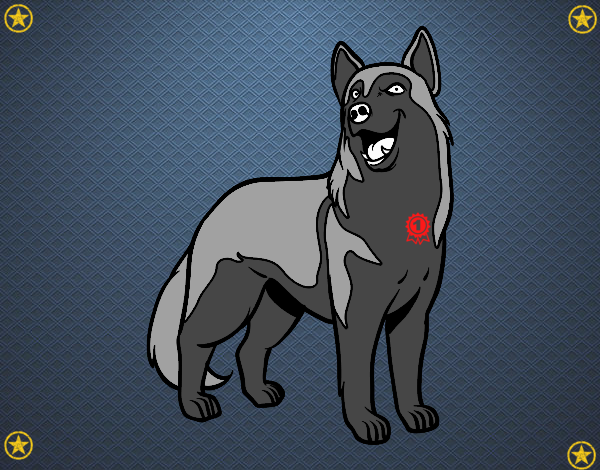 Perro lobo