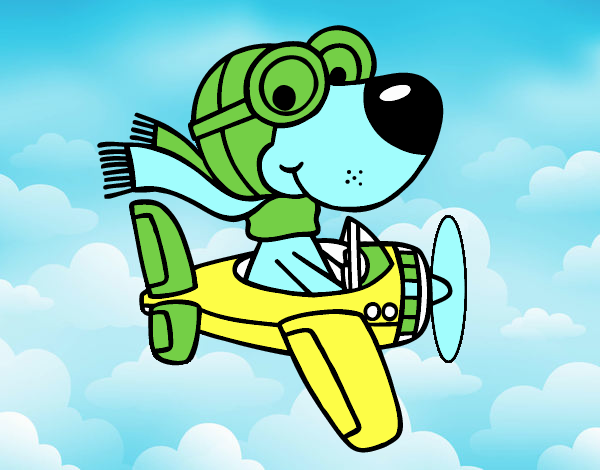 Perro piloto