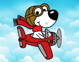 Perro piloto