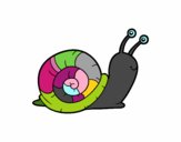 Un caracol