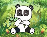 Un oso panda