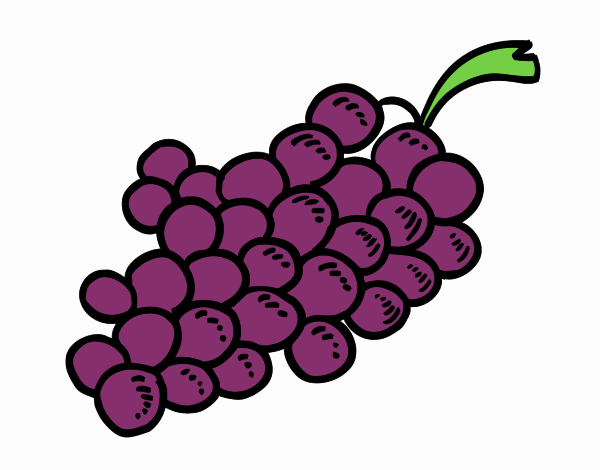 La uva mas rica del mundo 