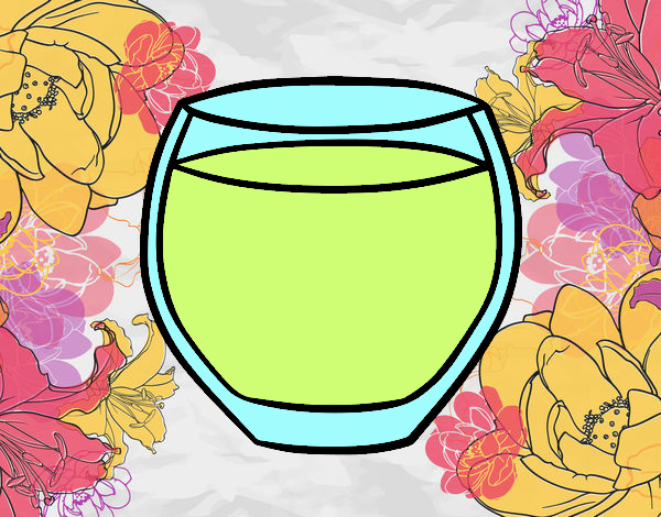 Vaso de agua