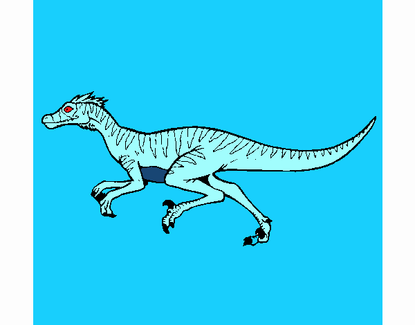 Velociraptor