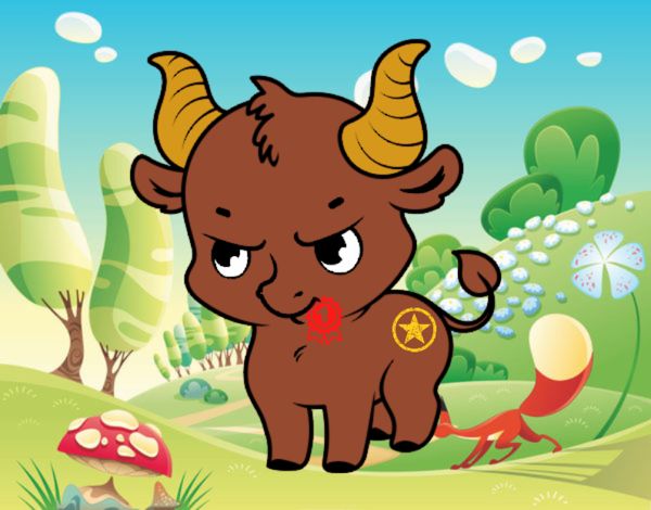 torito competitivo