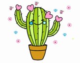 Cactus corazón