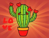 Cactus corazón