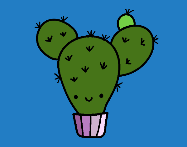 Cactus nopal