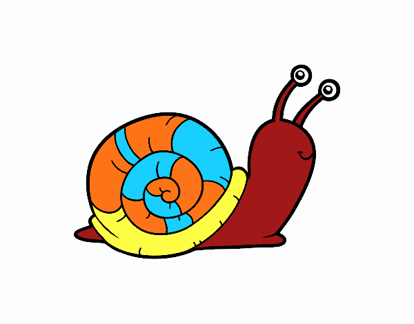 el caracol