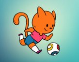 Gato jugando a fútbol