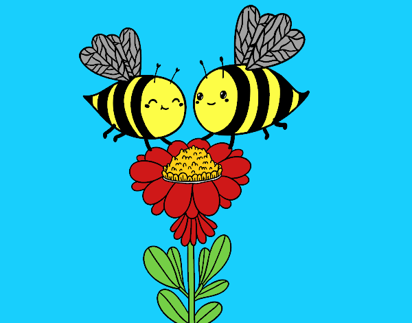 Pareja de abejas