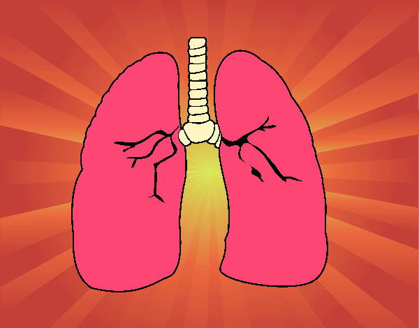 YOUR LUNGS