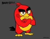 Red de Angry Birds