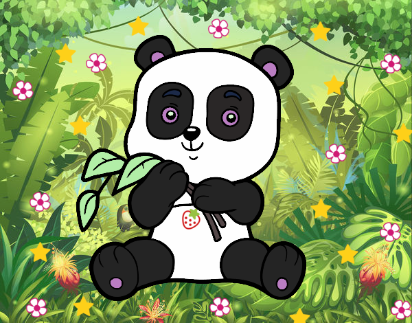 Un oso panda