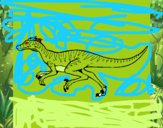 Velociraptor