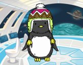 Bebé pingüino con gorrito