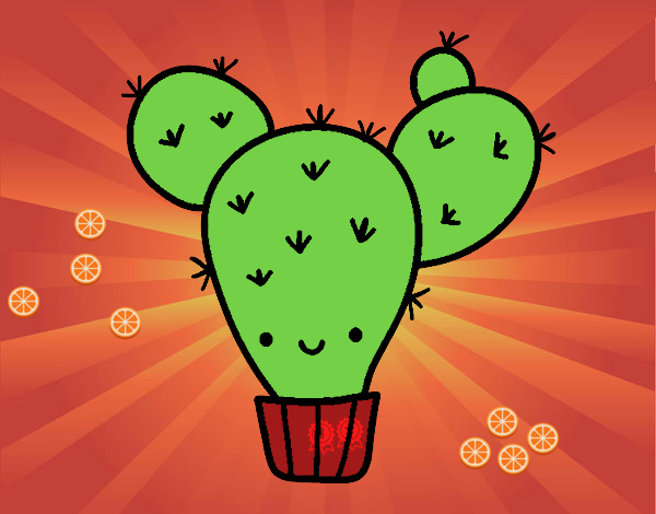 Cactus nopal