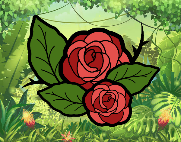 Dos rosas