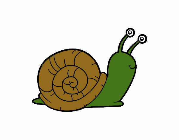 el caracol