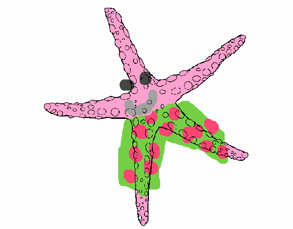 Estrellita de mar