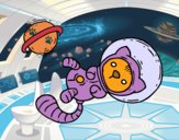 Gatito astronauta