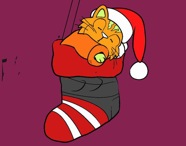 Gatito durmiendo en un calcetín de Navidad