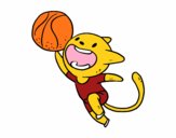 Gato jugando a baloncesto