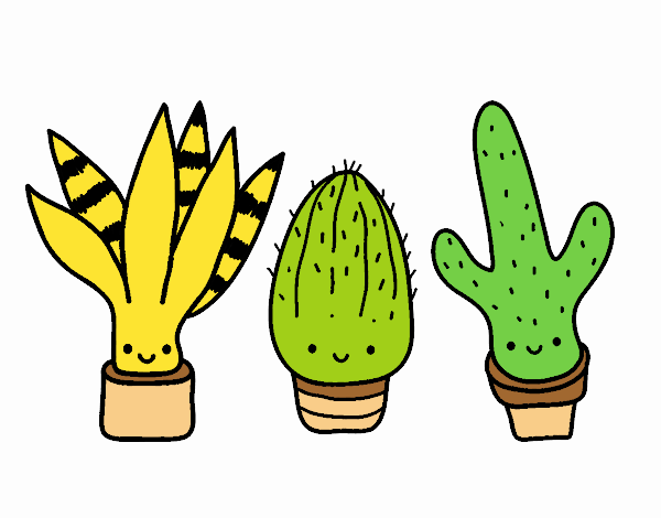 Mini cactus