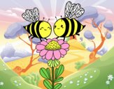 Pareja de abejas