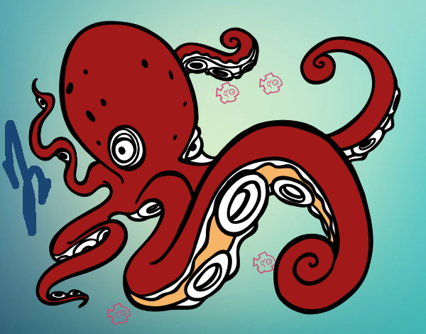 Pulpo enfadado