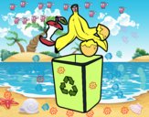 Reciclaje orgánico 