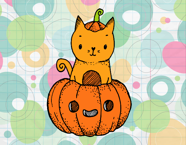 Un gatito de Halloween