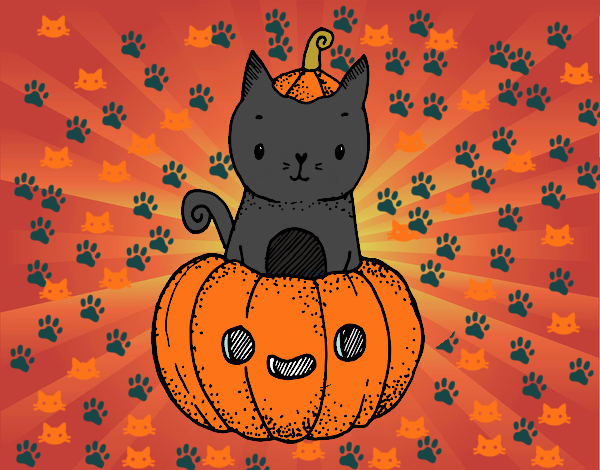 Un gatito de Halloween