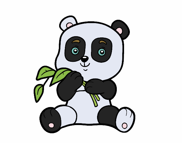 Un oso panda