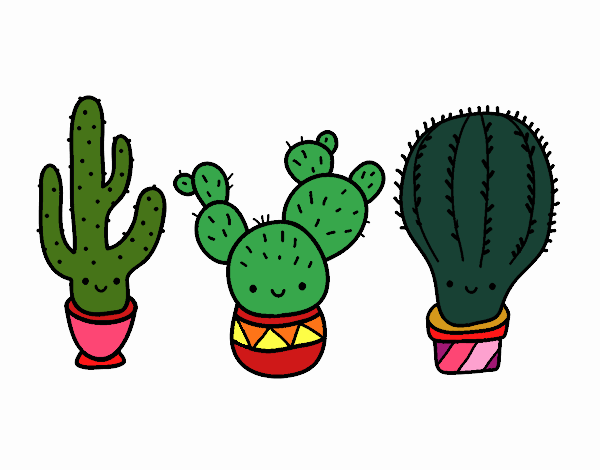 3 mini cactus