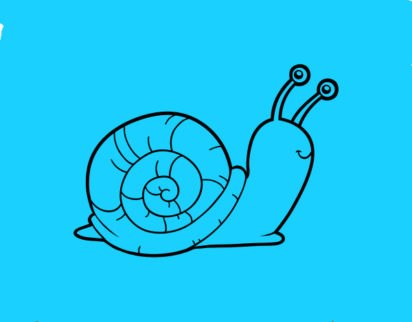 caracol ijo de puta