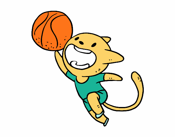 Gato jugando a baloncesto