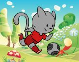 Gato jugando a fútbol