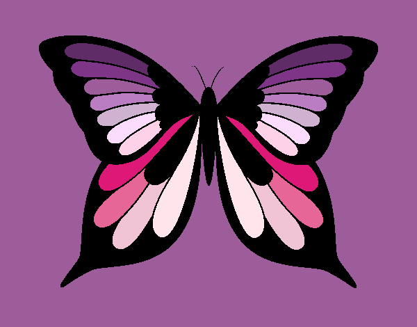 MARIPOSA