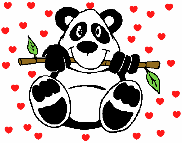 Oso panda