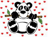 Oso panda